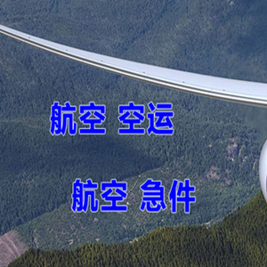 音布鲁克航空运输快递-选东方航空和上海航空