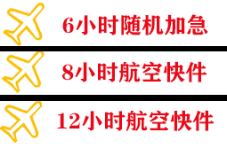 音布鲁克航空运输快递公司,专业空运当天件
